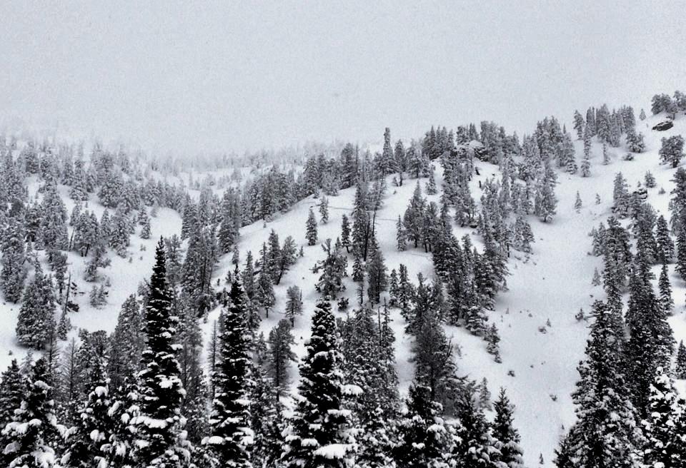 Avalanche Crown, Centennial Range
