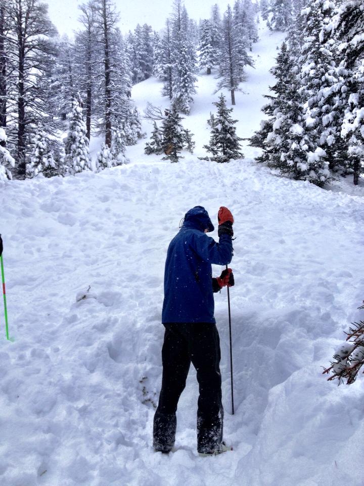 Avalanche debris and burial site, Centennial Range