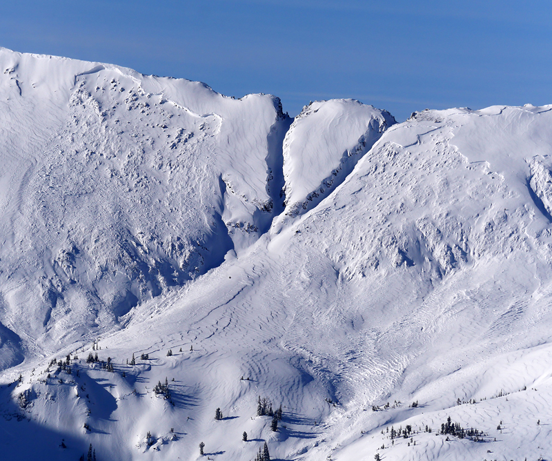 Avalanches in Sheep Cr. near Cooke Avalanches in Sheep Cr. near Cooke