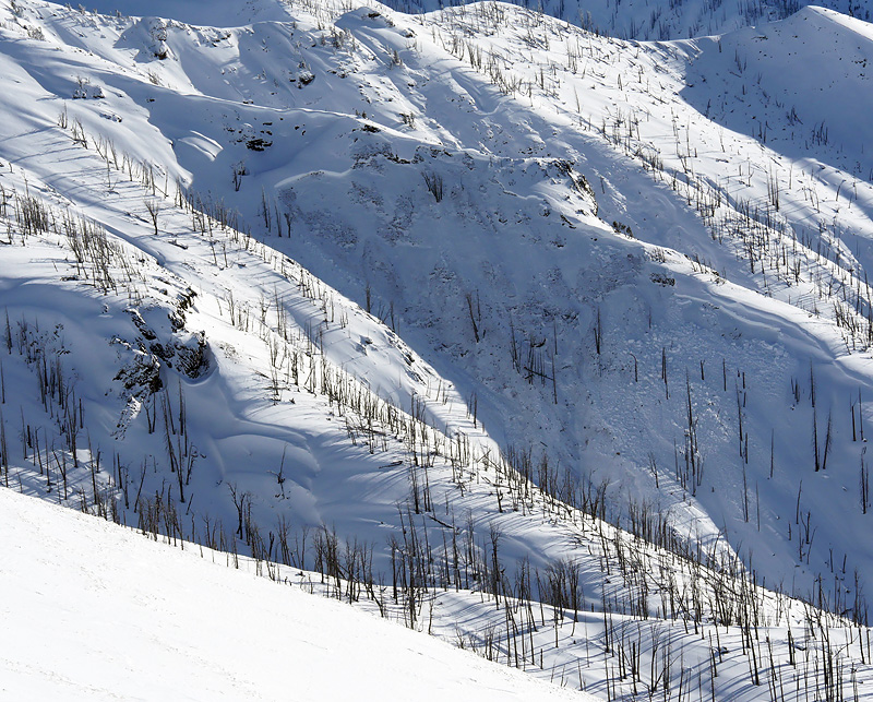 YNP West Facing Avalanche