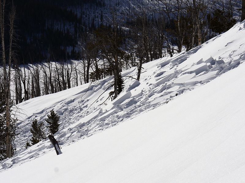 Natural wind slab release - Yellowstone Park Natural wind slab release - Yellowstone Park