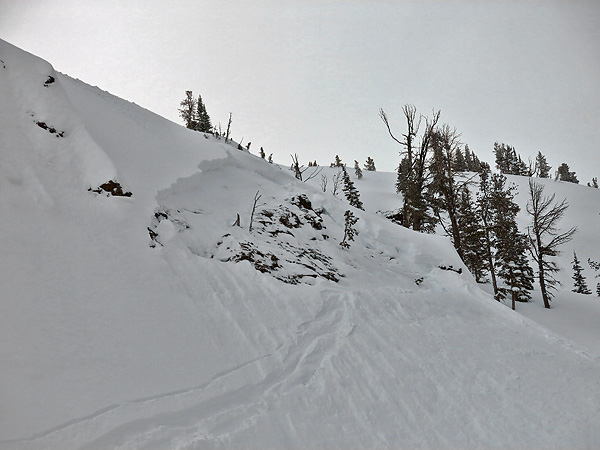 Human Triggered Avalanche near Cooke City Human Triggered Avalanche near Cooke City