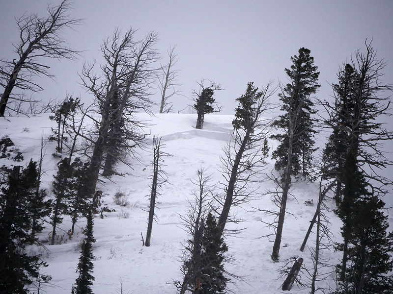Skier triggered avalanche on Town Hill in Cooke City Skier triggered avalanche on Town Hill in Cooke City