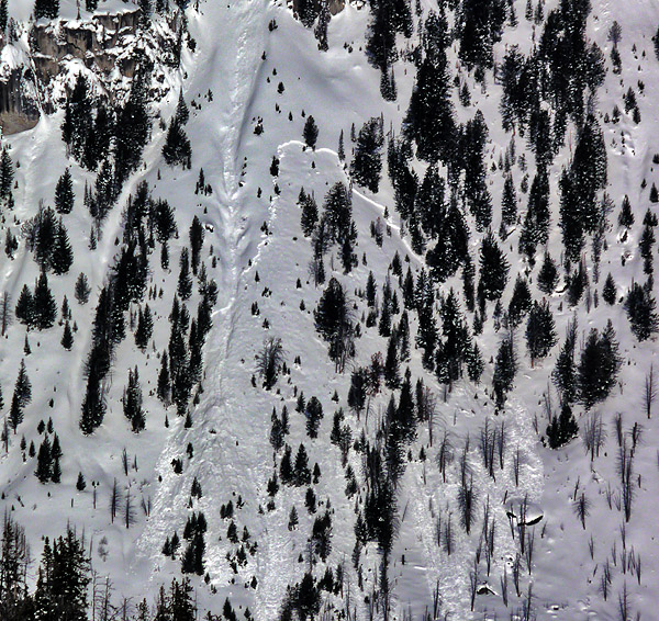 Lower Elevation Avalanche Lower Elevation Avalanche