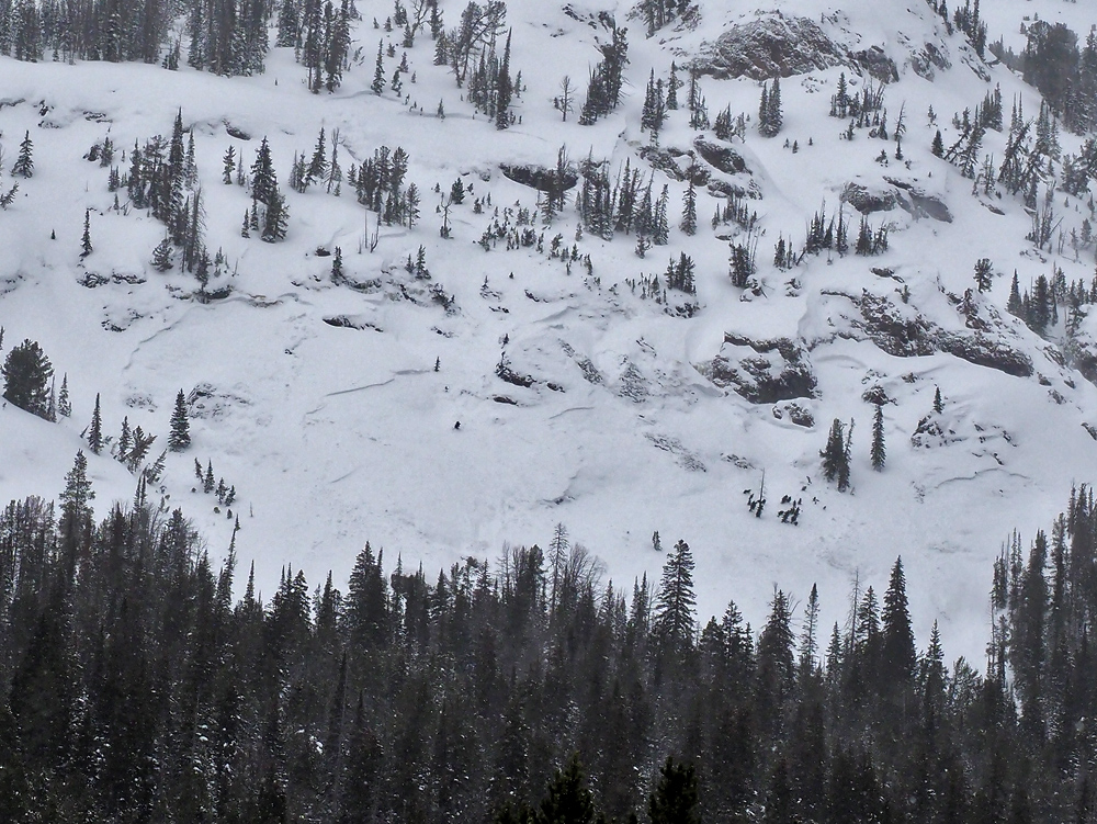 Natural Avalanches Cooke City, 2/8/17 Natural Avalanches Cooke City, 2/8/17