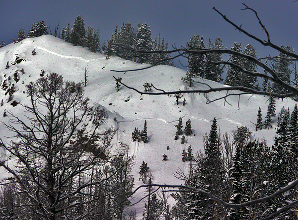 Cooke City Avalanche Cooke City Avalanche
