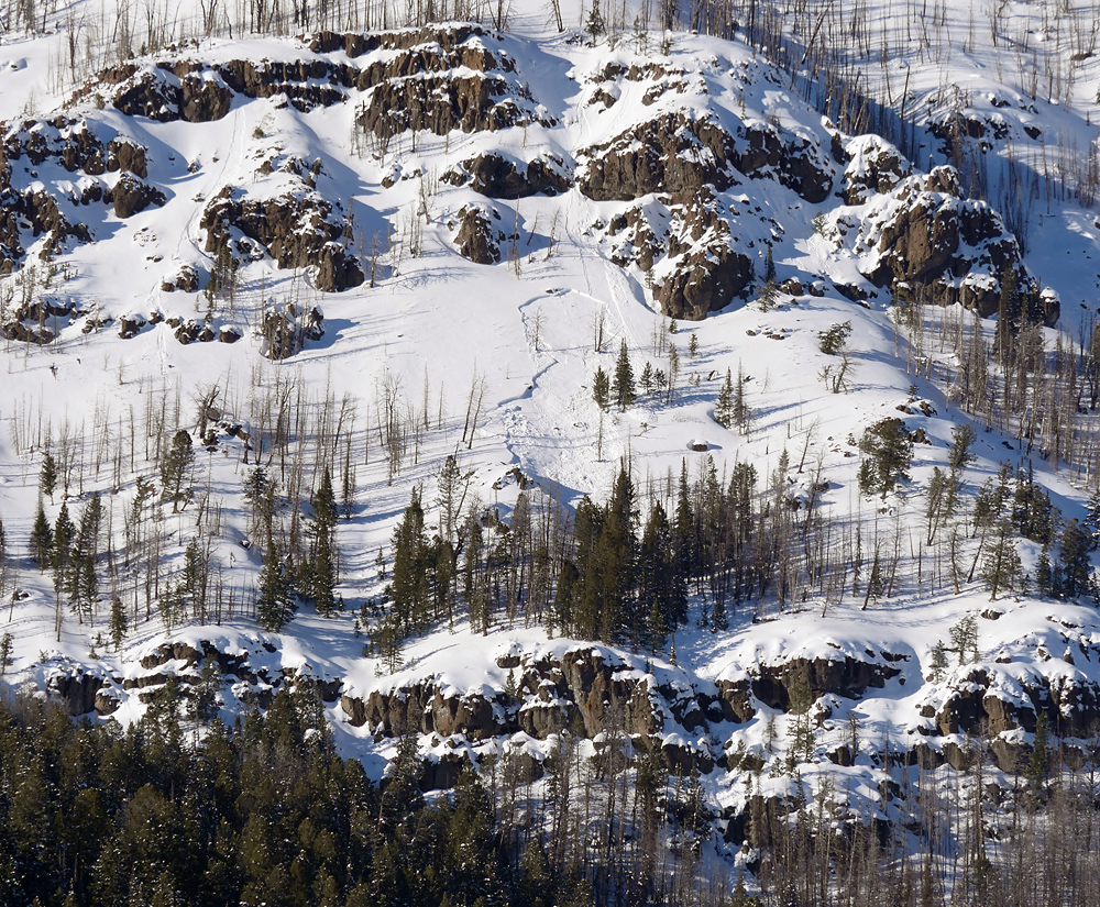 YNP: small avalanche on Druid Peak YNP: small avalanche on Druid Peak