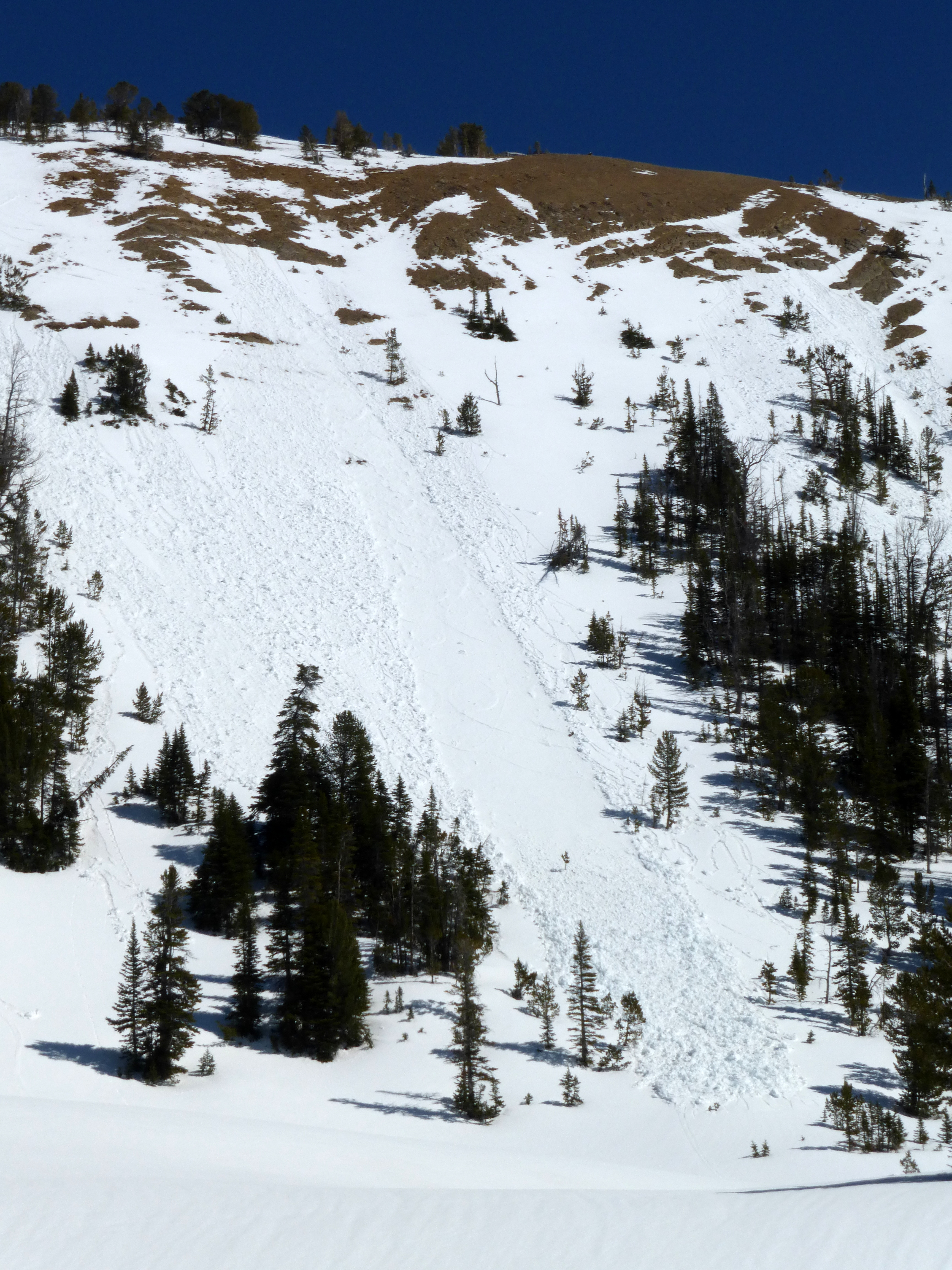Loose snow avalanche - Beehive Basin 3/30/15 Loose snow avalanche - Beehive Basin 3/30/15