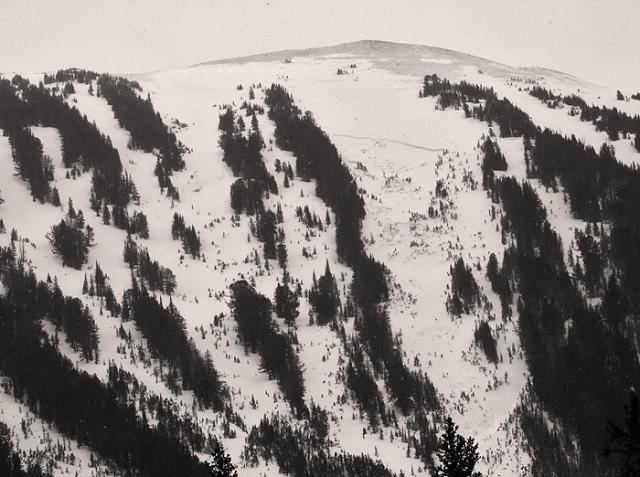 Cooke City Avalanches Cooke City Avalanches