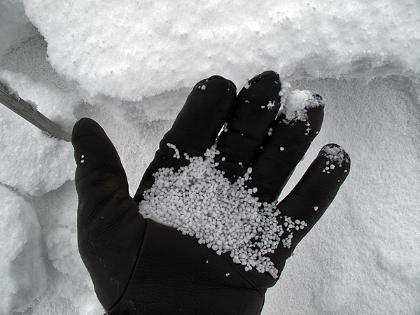 Graupel under the new snow Graupel under the new snow