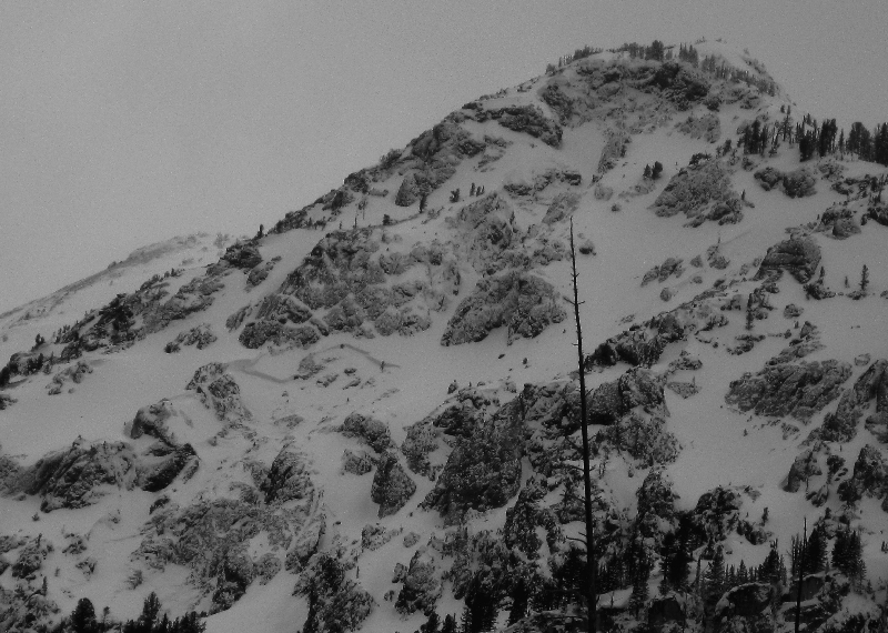 Mineral Mt. Crown Mineral Mt. Crown