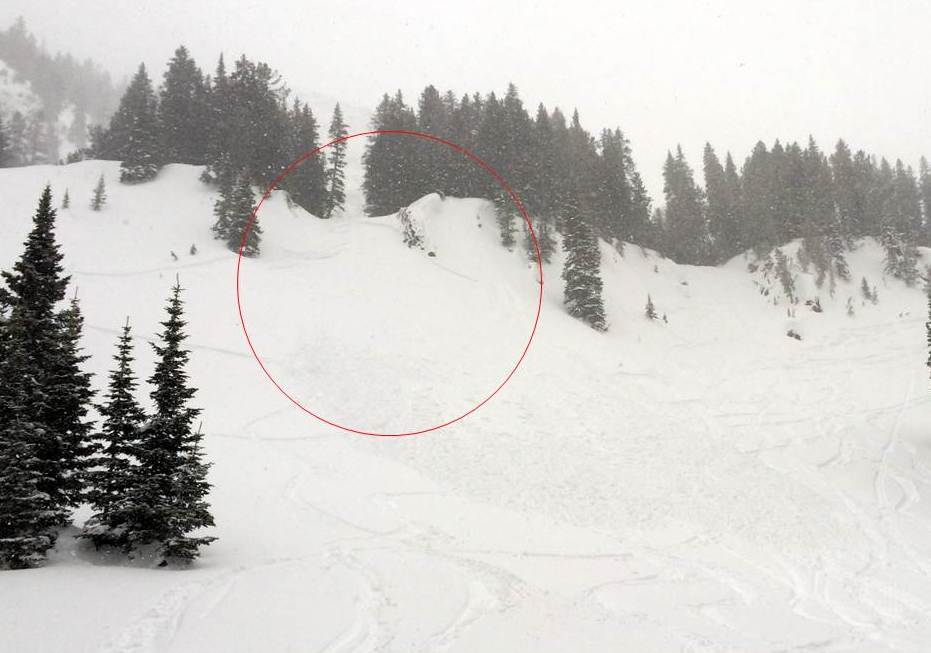 New snow avalanche Mt Backmore - 3/29/14 New snow avalanche Mt Backmore - 3/29/14