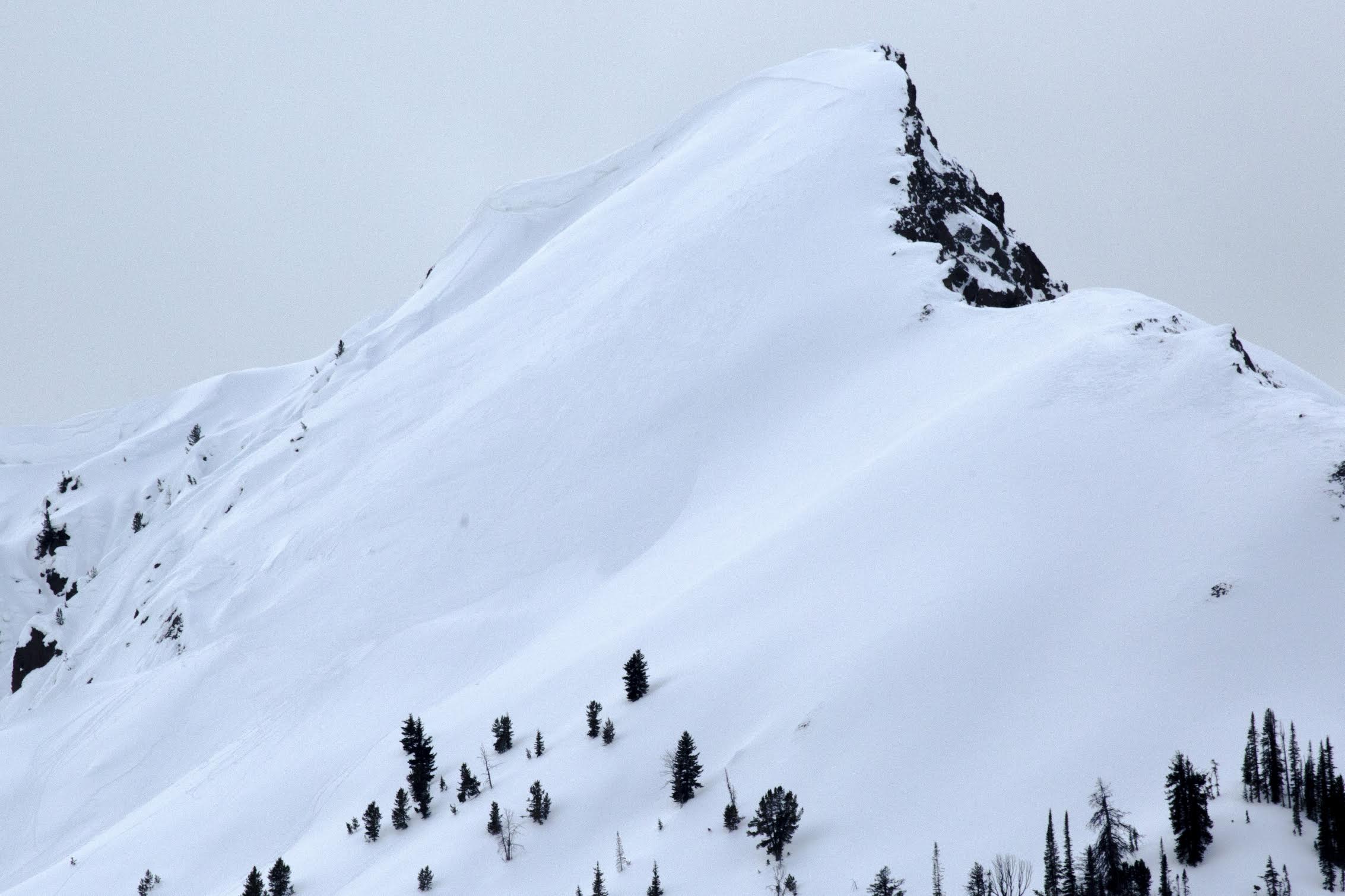 The Fin - Natural Avalanche 3/5/16 The Fin - Natural Avalanche 3/5/16