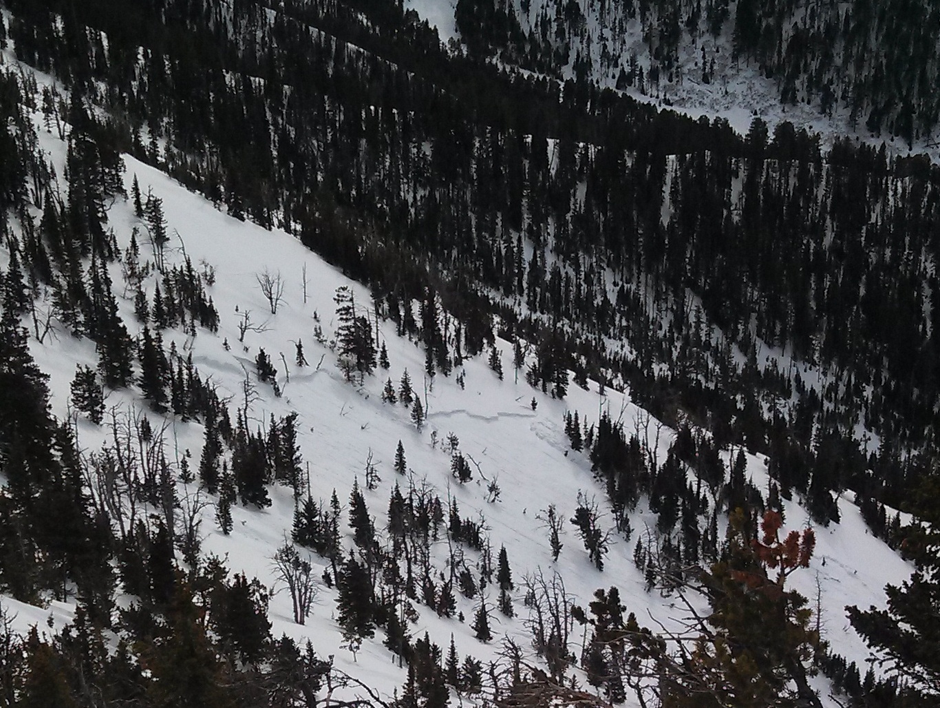 Wet Slab Avalanche, west side Bridger Range Wet Slab Avalanche, west side Bridger Range