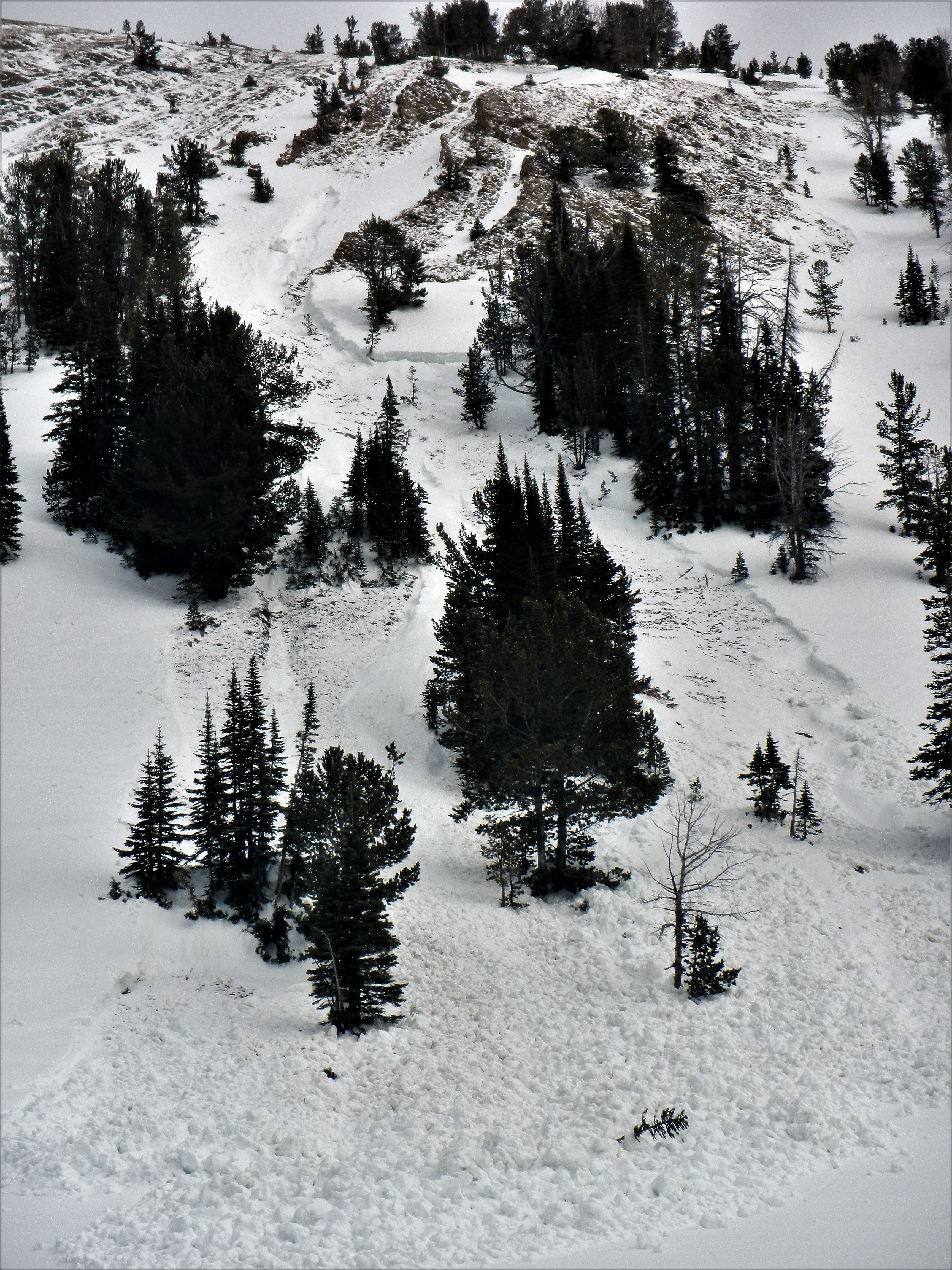 Wet Slide, Beehive Basin Wet Slide, Beehive Basin