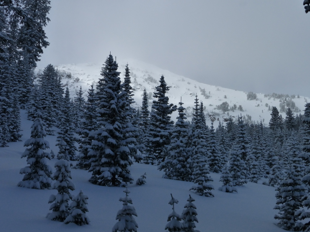 Winter returns - Mt. Blackmore 2/16/15 Winter returns - Mt. Blackmore 2/16/15